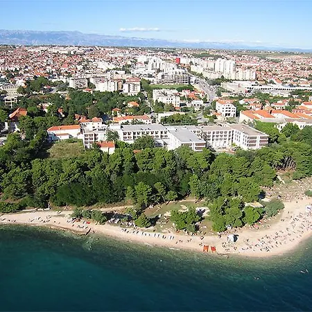 Monika Zadar